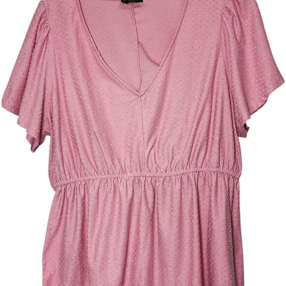 Lane Bryant 18/20 Blouse Pink Textured Swiss Dot V-Neck Short Sleeve Plus Size - Picture 1 of 6